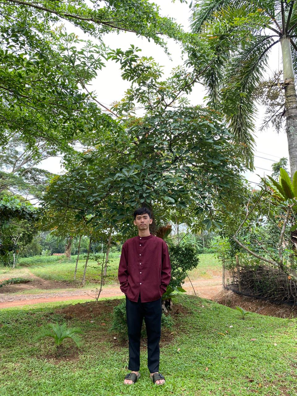 Ahmad Bustomi